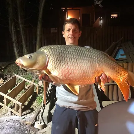 Alloggio in famiglia Dunaparti Ráckeve