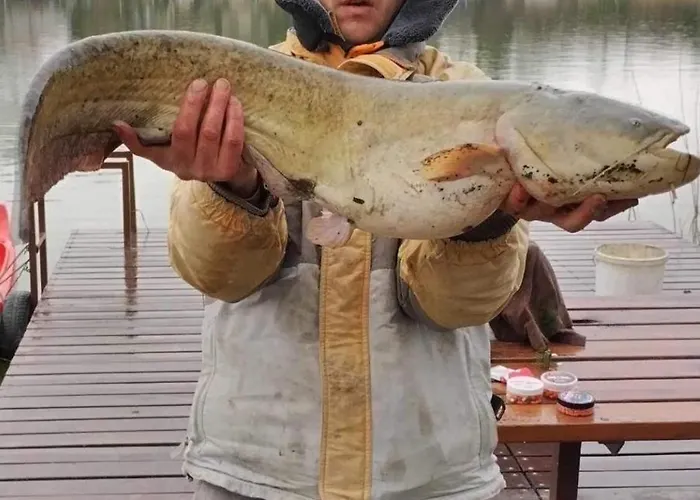 Проживание в семье Dunaparti Vendeghaz