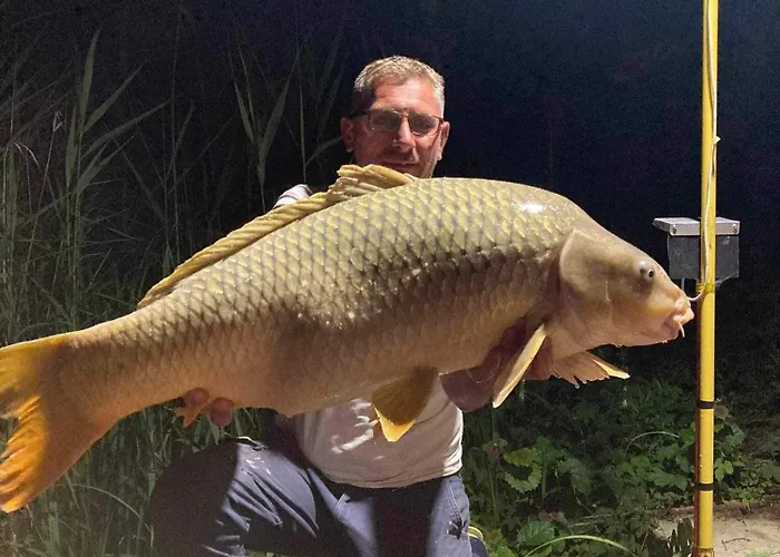 Dunaparti Vendeghaz * Рацкеве